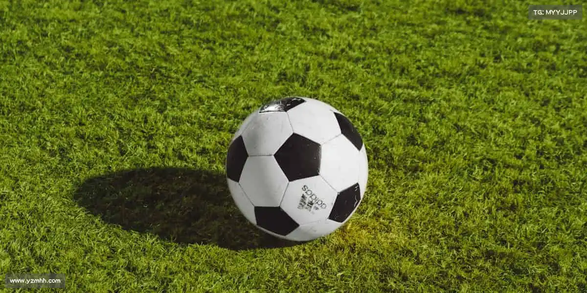 milan米兰🌟体育无极限,你的潜能,由汗水来见证!